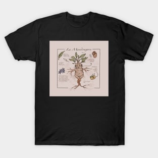 The mandrake T-Shirt